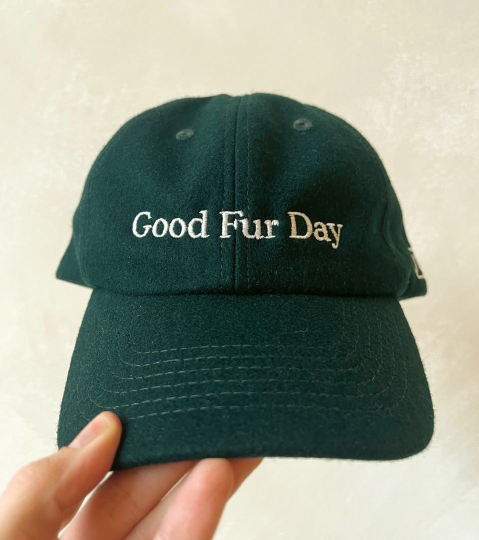 Beastie Good Fur Day branded hat — CPG brand kit by Kaleidoscope