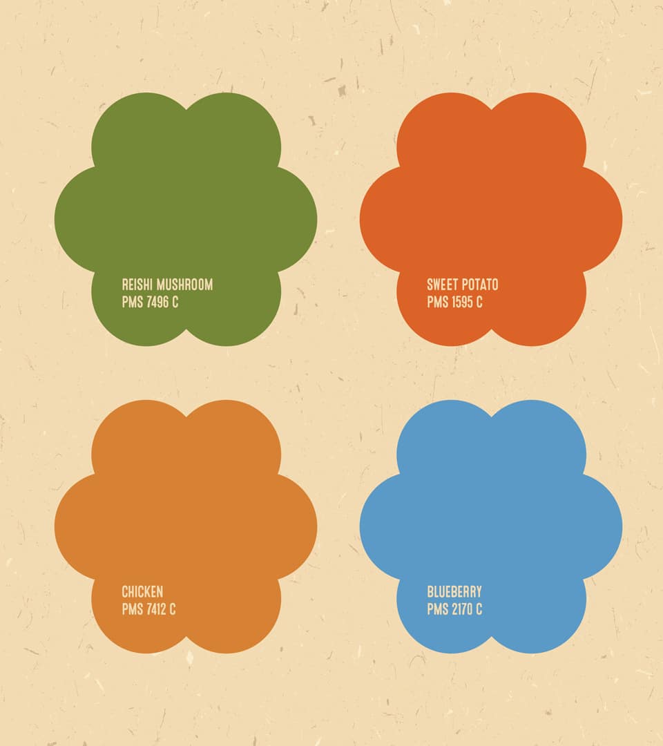 Ruffage brand guidelines and CMF color strategy by Kaleidoscope
